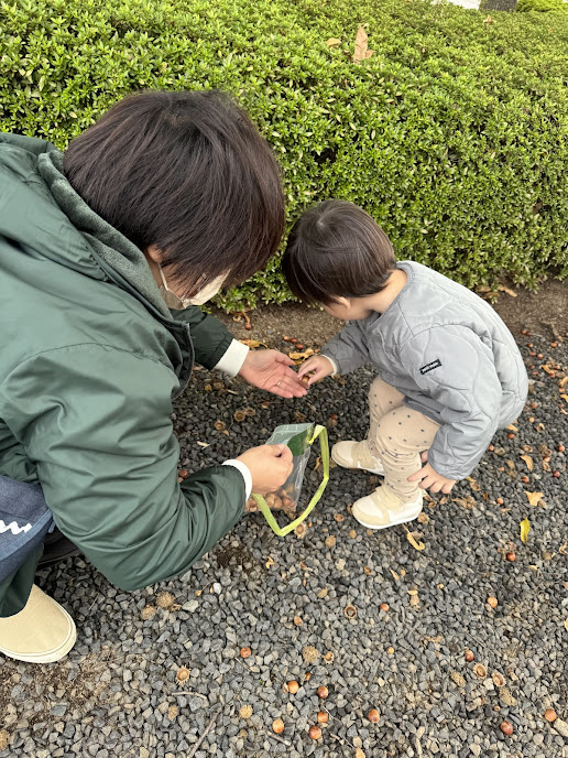 どんぐり拾い🍂 【コパン・クラージュ】 - 社会福祉法人 心愛会 | 福島